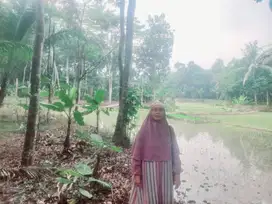 Dijual Cepat Tanah Strategis Siap Bangun – Harga Nego Langsung Pemilik