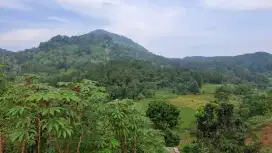 lokasi Sekitaran sentul city Buat Villa/Resto usaha