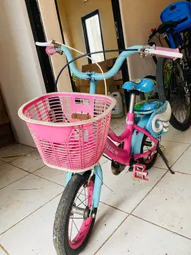 Sepeda anak usia 4-6 tahun