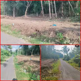 Tanah nyaman dan asri swndangmulyo minggir godean