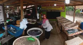 ISTANA IKAN NAUFIDZ