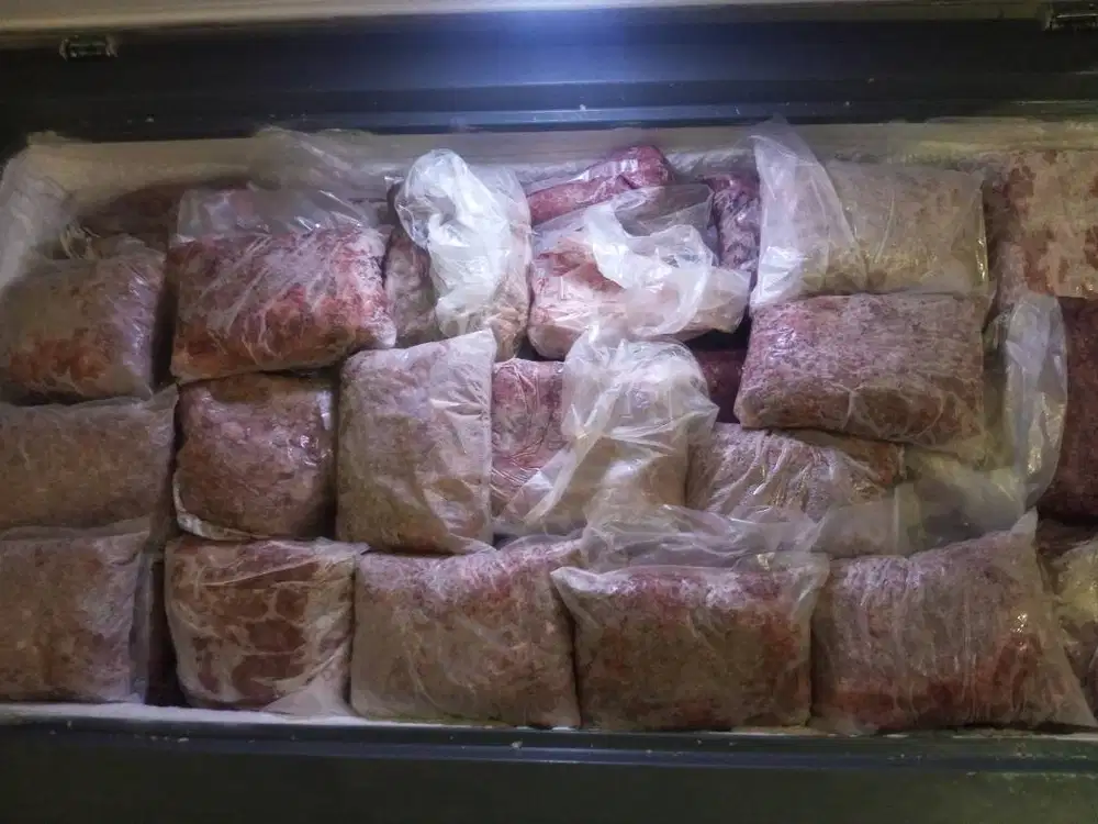 Makanan anjing murah