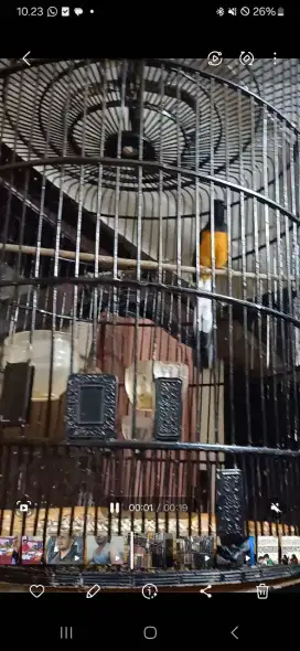 Dijual Cepat,Murai Medan