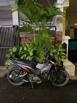 Revo absolute 2012