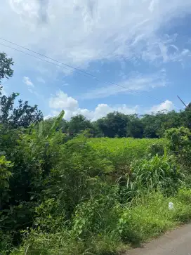Di jual tanah desa lau