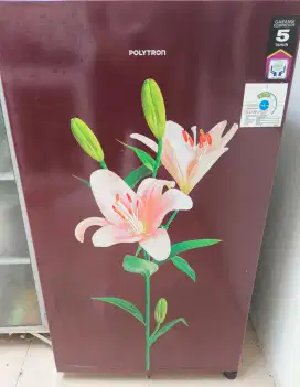Kulkas 1 pintu polytron