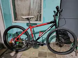 Sepedah poligon extrada 1