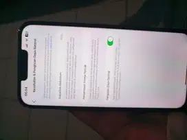 Iphone 13 pro max  128