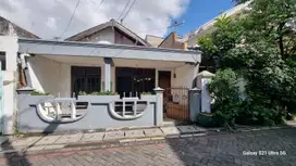 Rumah kapas madya