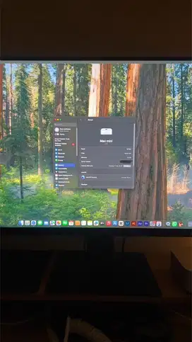 Mac Mini M4 16/256