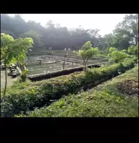 Nikmatin Suasana Alam Dengan Memiliki Tanah Pemancingan