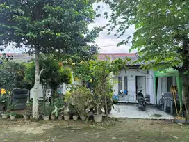 dijual rumah murah