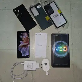 Vivo V30 5G 8/256