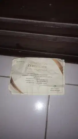 Mandalika akustik elektrik.