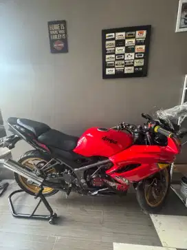 Kawasaki Ninja 150 RR Super kips