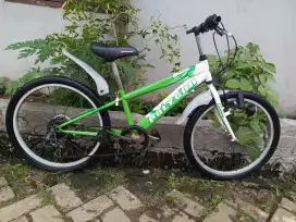 Sepeda anak BMX Polygon