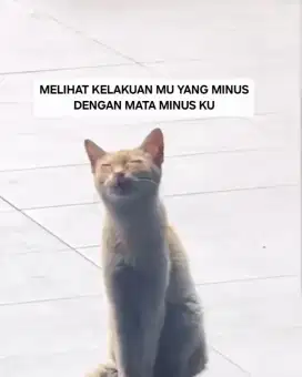 Dicari karyawan cowok jaga toko plastik yg bs angkat2