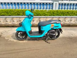 Fazzio Neo 2023 Pajak panjang