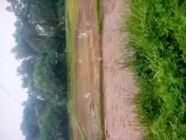 Dijual tanah Cisoka Kab Tangerang