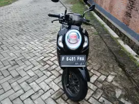 Scoopy Prestige Regis 2022 Grees