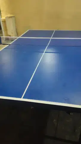 Meja Pingpong Gress Jarang Pakai