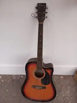 Gitar caraya bekas