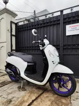 Honda Scoopy 2022 Kayles