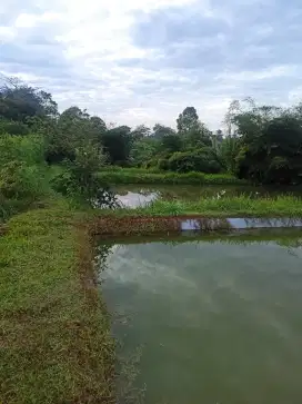 Dijual Tanah Berupa Kolam