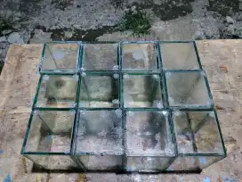 Soliter Ikan Cupang