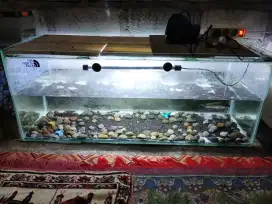 Aquarium ikan lampu