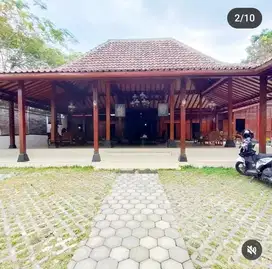 Rumah joglo jati kuno bebas rayap