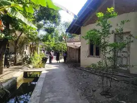 Rumah SHM Bantul Rp299 Juta, Lokasi Strategis & Ideal untuk Investasi!