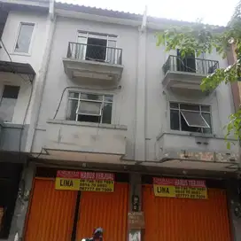DIJUAL CEPAT RUKO GANDENG DI TAMAN PALEM LESTARI