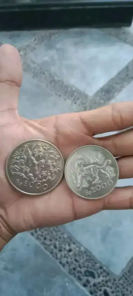 Sepasang macan,otan