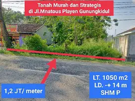 Tanah spesial murah strategis mangku jl mantous playen gunungkidul
