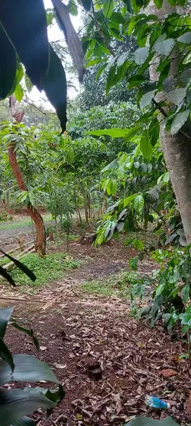 TURUN HARGA Kavling di Ciputat jalan raya  SHM tnah Datar  CL 137