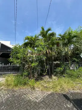 Rumah Manyar Tirtomoyo HITUNG TANAH