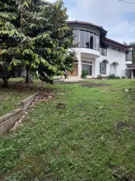 Disewakan Rumah Mewah Luas 1100 M² di Mainroad Dago