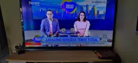 LED SHARP 60 INCH