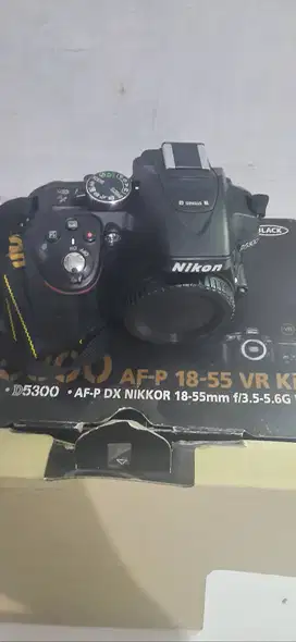 Nikon D5300 AF-P DX NIKKOR 18-55MM