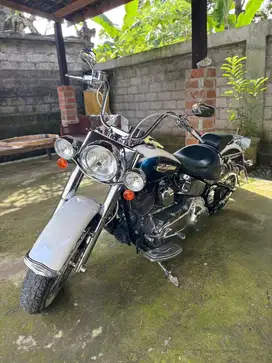 Softail Deluxe rare colour