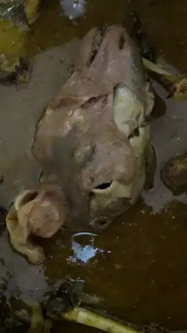 Jual resep gule kepala kambing dan sambosa
