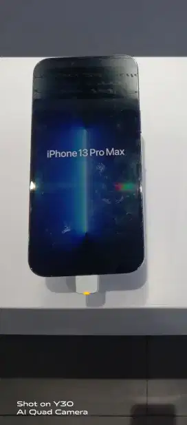 iPhone 13 pro max 256