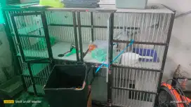 Kandang kucing 4 kamar luas