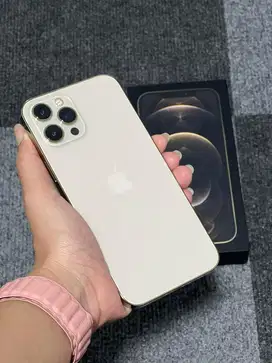 12 pro max 256gb inter signal aman whitelist smua kartu