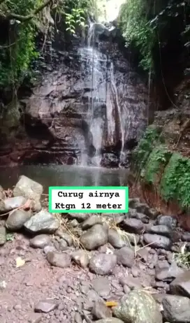 Jual tanah kebun murah sudah ada Curug airnya Tapos Tenjolaya bogor