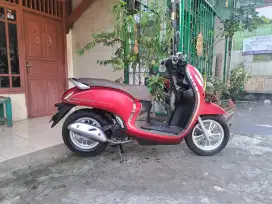 Honda scoopy stilysh keyles 2021