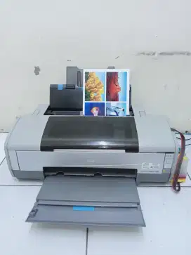 Printer Epson R1390 normal