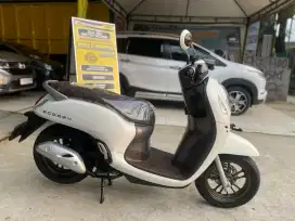 Scoopy prestige mulus