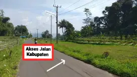 Jual tanah kebun murah desa ciasihan pamijahan bgr